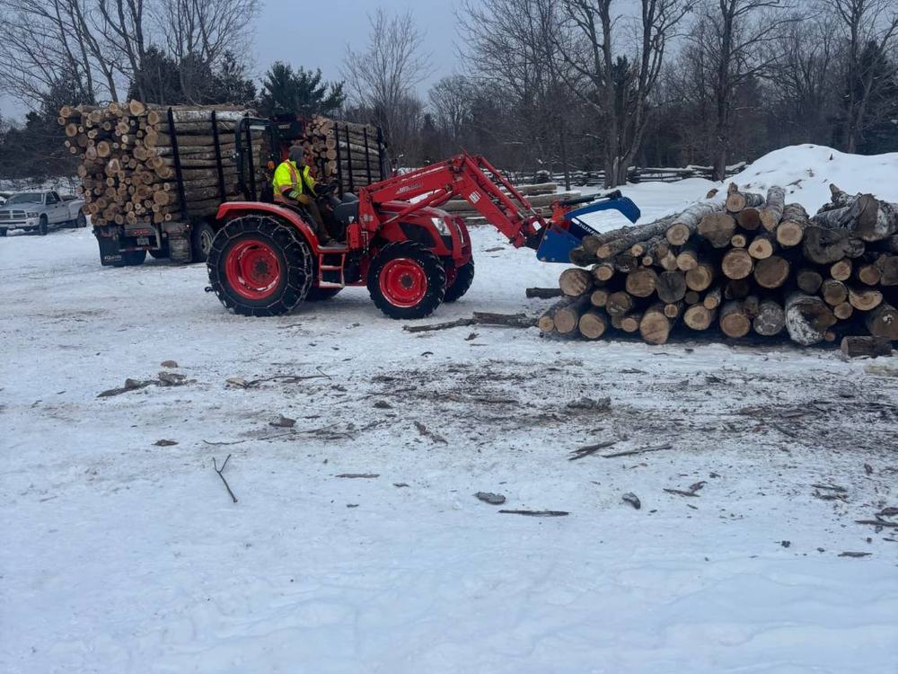 Loading logs with the tractor at the yard on a winter morning